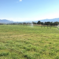 Beautiful Mountain Home with Equine Facilities For Sale in Dolores  CO images 2