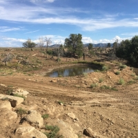 Beautiful Mountain Home with Equine Facilities For Sale in Dolores  CO images 3