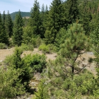 Mountain Home with Creek For Sale in Fort Jones  CA images 3