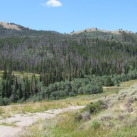 Centennial Unincorporated Acreage images 3