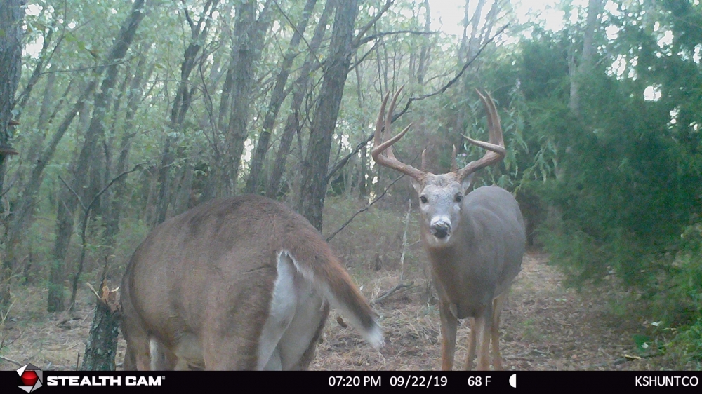 Sportsman  039 s 80 featured image