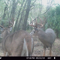 Sportsman  039 s 80 images 2