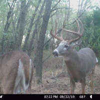 Sportsman  039 s 80 images 3