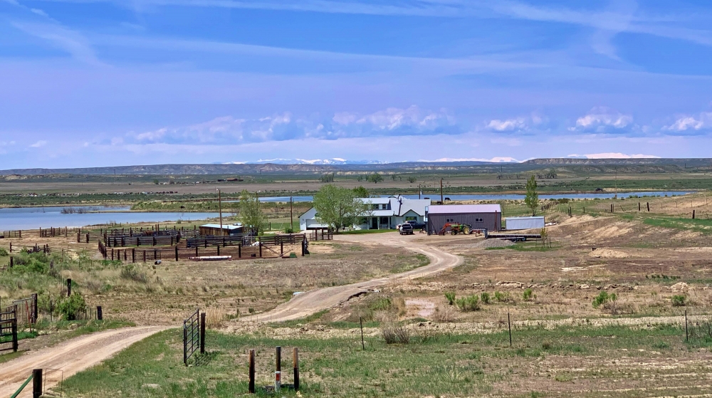 Gooseberry Creek Ranch featured image