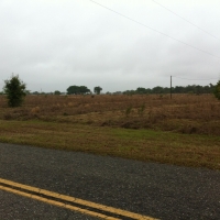 100-Acre Housing Development Land For Sale in Fort Ogden  FL images 2
