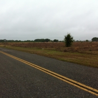 100-Acre Housing Development Land For Sale in Fort Ogden  FL images 3