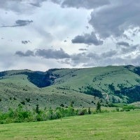 North Fork River Acreage images 2