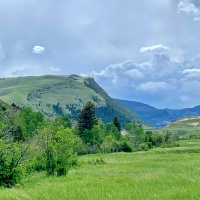 North Fork River Acreage images 3