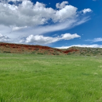 North Fork River Acreage images 5