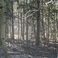 Slate Creek Gorge images 2