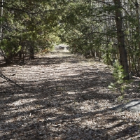 Slate Creek Gorge images 5