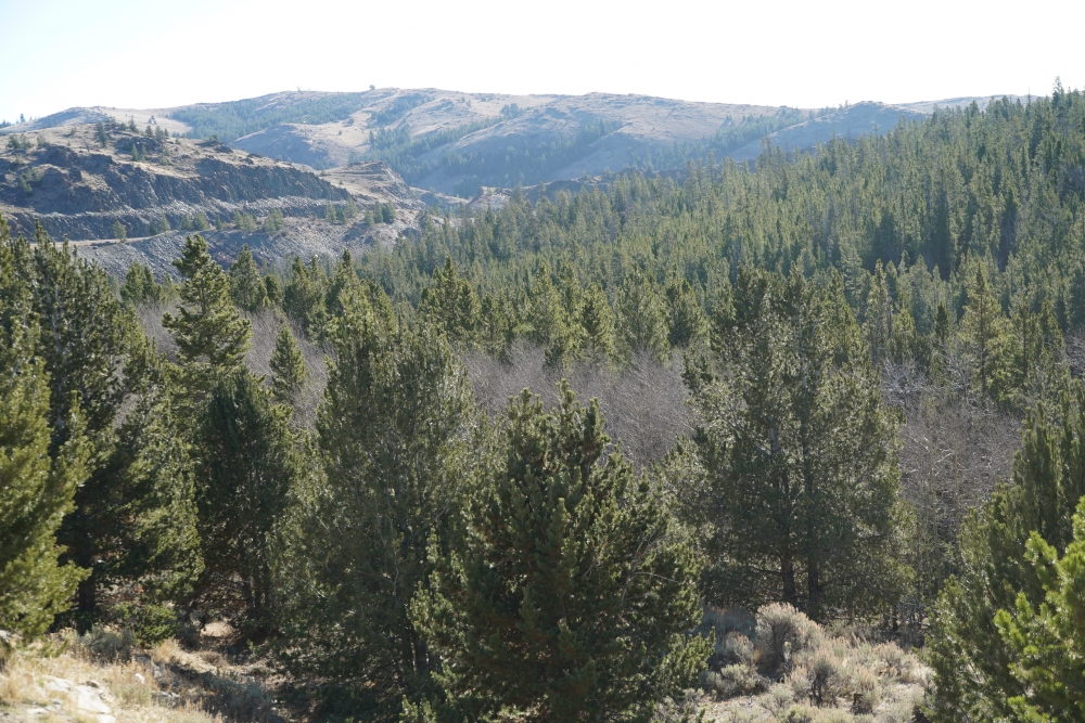 Slate Creek Lot 6 featured image