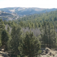Slate Creek Lot 6