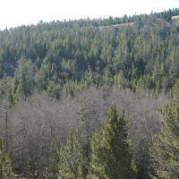 Slate Creek Lot 6 images 2