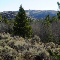Slate Creek Lot 6 images 3