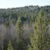 Slate Creek Lot 6 images 4