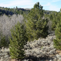 Slate Creek Lot 6 images 5