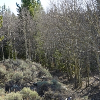 Slate Creek Lot 6 images 6