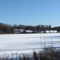 133 acres Farmhouse with Pond in Taylor NY images 2