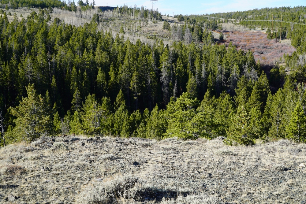 Slate Creek Lot 2 featured image