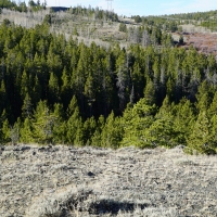 Slate Creek Lot 2