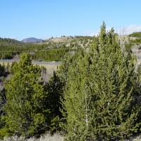 Slate Creek Lot 2 images 2