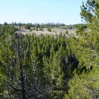 Slate Creek Lot 2 images 3