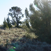 Slate Creek Lot 2 images 4