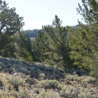 Slate Creek Lot 2 images 5