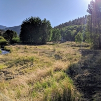 Custom-Built Mountain Home For Sale in Villa Grove  CO images 2