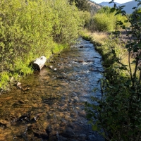 Custom-Built Mountain Home For Sale in Villa Grove  CO images 3