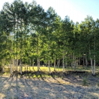 Custom-Built Mountain Home For Sale in Villa Grove  CO images 4