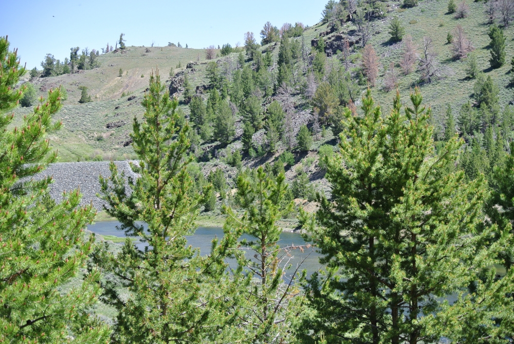 Sheldons Gulch featured image