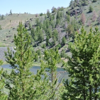 Sheldons Gulch images 1