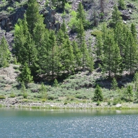 Sheldons Gulch images 2