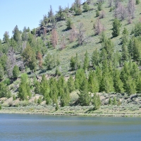 Sheldons Gulch images 3