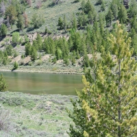 Sheldons Gulch images 4