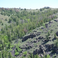 Sheldons Gulch images 5