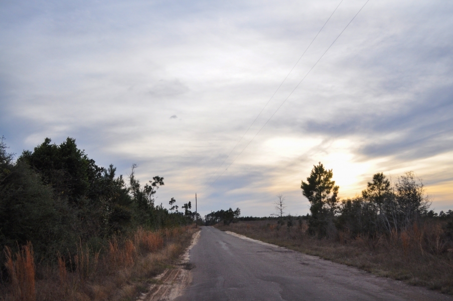53 Acres &nbsp; CR 3725 featured image