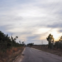 53 Acres &nbsp; CR 3725