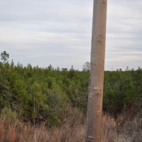 53 Acres &nbsp; CR 3725 images 2