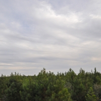 53 Acres &nbsp; CR 3725 images 4
