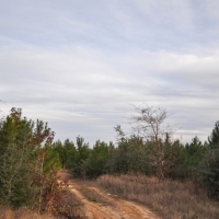 53 Acres &nbsp; CR 3725 images 5