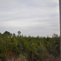53 Acres &nbsp; CR 3725 images 6
