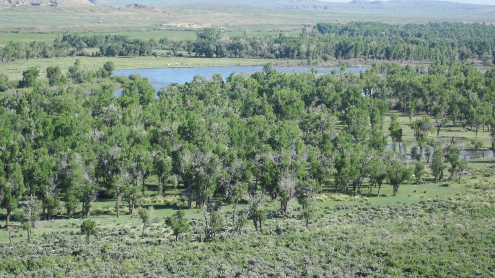 Green River Paradise featured image