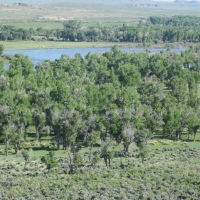 Green River Paradise images 1