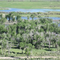 Green River Paradise images 6