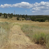 Ryman Canyon Ranch images 4