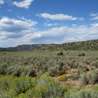 Pinon Hills Ranch 35 Acres - Lot 44 or 45 images 2