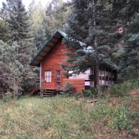 Tiny Cabin Borders NF